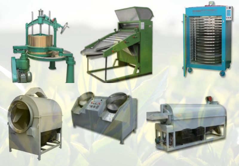 Tea processing machinery